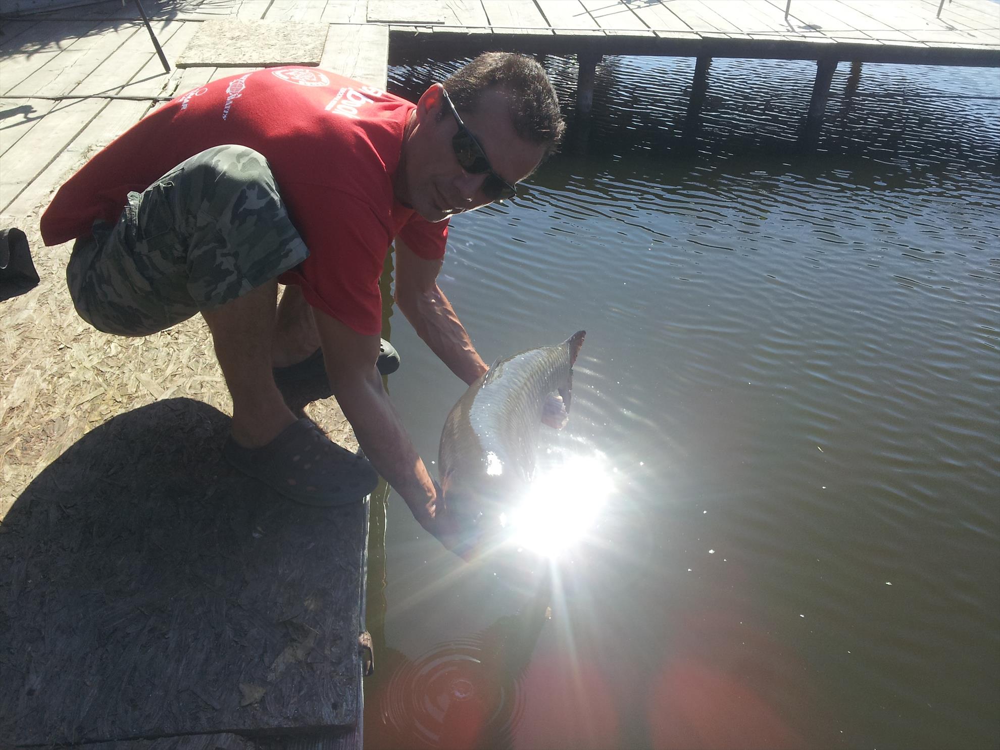 Tancabesti 31 aug- 7 sep  - 20140901103904.jpg